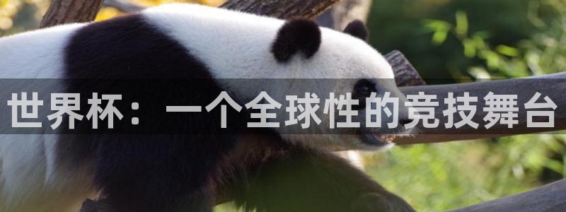 世界杯亚洲预选赛18强赛程：世界杯：一个全球性的竞技舞台