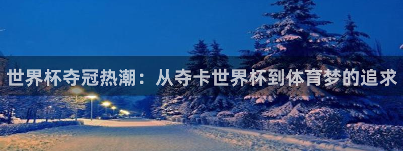 2026世界杯南美区积分榜:世界杯夺冠热潮:从夺卡世界杯到体育梦的追求