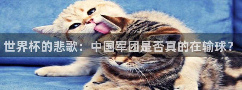 世界杯转播表:世界杯的悲歌:中国军团是否真的在输球?
