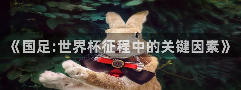 世界杯直播:《国足:世界杯征程中的关键因素》