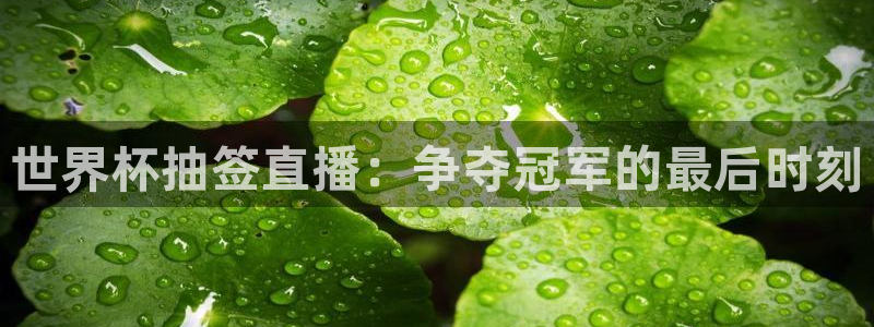 世界杯预选赛排名：世界杯抽签直播：争夺冠军的最后时刻