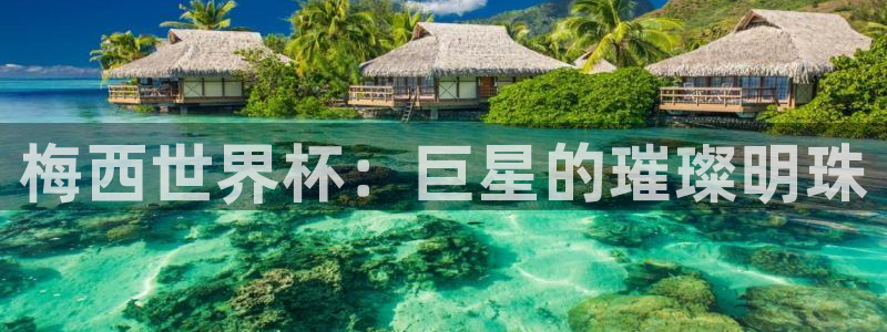 2026年世界杯直播平台:梅西世界杯:巨星的璀璨明珠