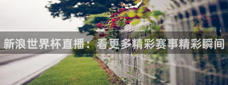 世界杯球赛:新浪世界杯直播:看更多精彩赛事精彩瞬间