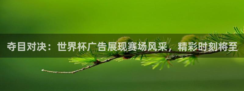 英格兰联赛杯直播:夺目对决:世界杯广告展现赛场风采,精彩时刻将至