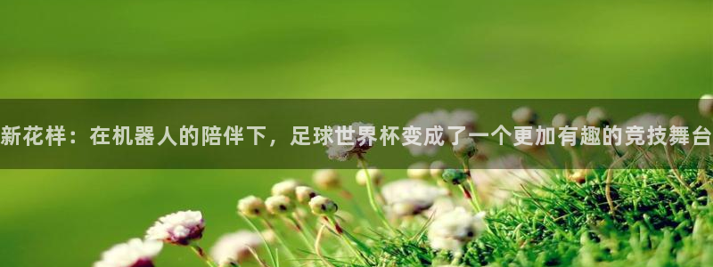 足球世界杯2026年赛程时间表:新花样:在机器人的陪伴下,足球世界杯变成了一个更加有趣的竞技舞台