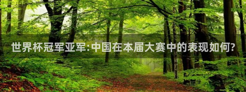 欧洲世界杯预选赛：世界杯冠军亚军:中国在本届大赛中的表现如何?