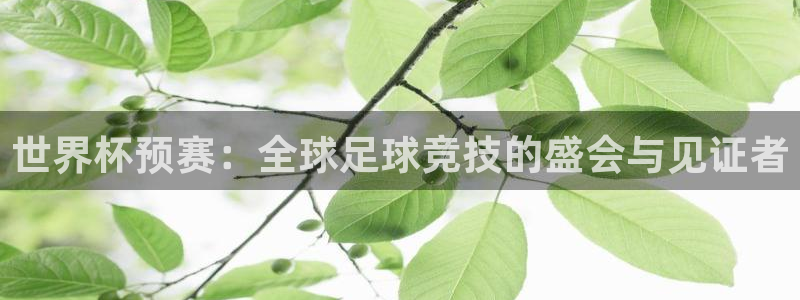 2026世界杯预选赛:世界杯预赛:全球足球竞技的盛会与见证者