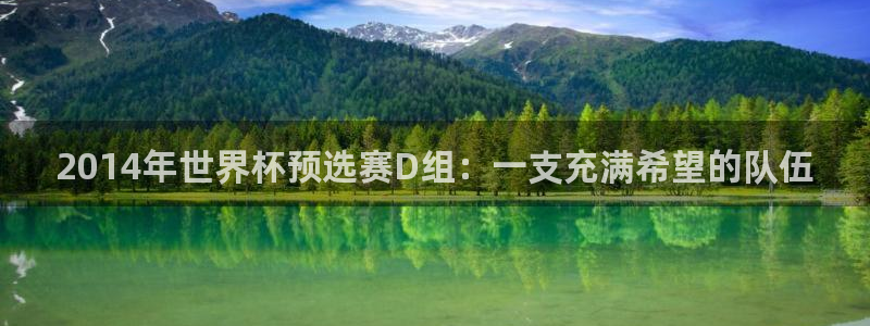 2026世界杯亚洲区预选赛:2014年世界杯预选赛D组:一支充满希望的队伍